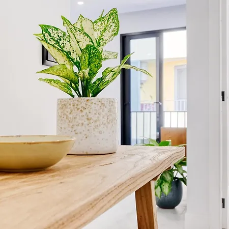 Apartment Beco Santa Emilia 2i, A In Madeira Funchal (Madeira)